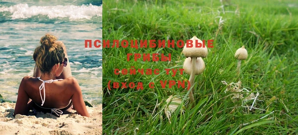 ECSTASY Зеленокумск