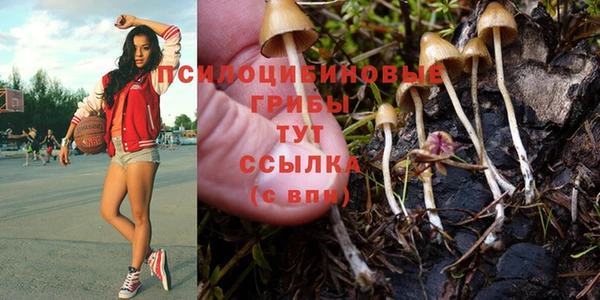 дистиллят марихуана Заводоуковск