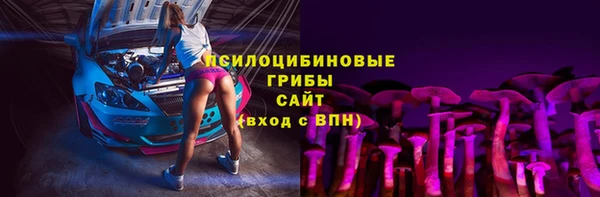 Альфа ПВП Инсар