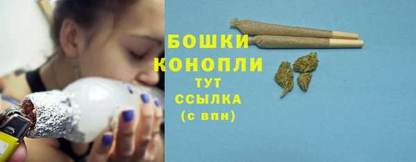 Альфа ПВП Инсар